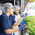 The Vital Role of Agriculture in Fairfax County, Virginia