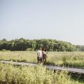 The Vibrant Agriculture Scene in Fairfax County, Virginia