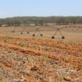 The Impact of Agriculture on the Environment in Fairfax County, Virginia: An Expert's Perspective