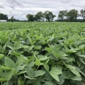 The Growing Agriculture Industry in Fairfax County, Virginia