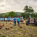 The Enduring Legacy of Agriculture in Fairfax County, Virginia