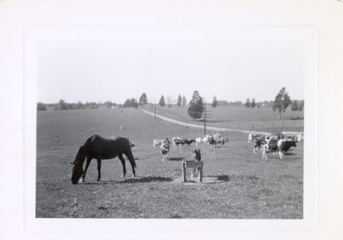 The Evolution of Agriculture in Fairfax County, Virginia: A Firsthand Perspective