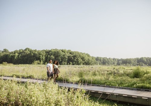The Vibrant Agriculture Scene in Fairfax County, Virginia