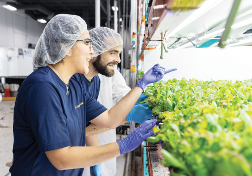 The Challenges and Opportunities of Urban Agriculture in Fairfax County, Virginia