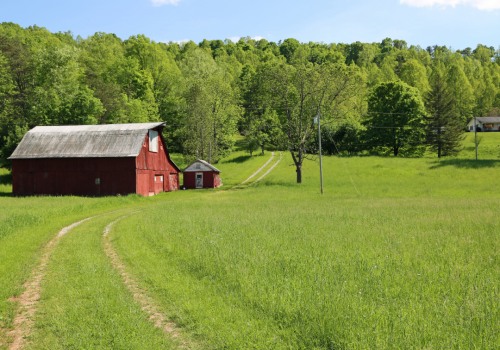 The Thriving Agricultural Industry in Fairfax County, Virginia