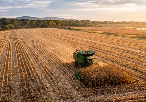 The Crucial Role of Agriculture in Ensuring Food Security in Fairfax County, Virginia