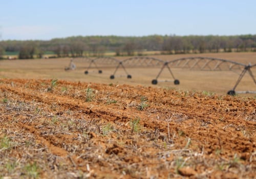 Overcoming the Challenges of Agriculture in Fairfax County, Virginia