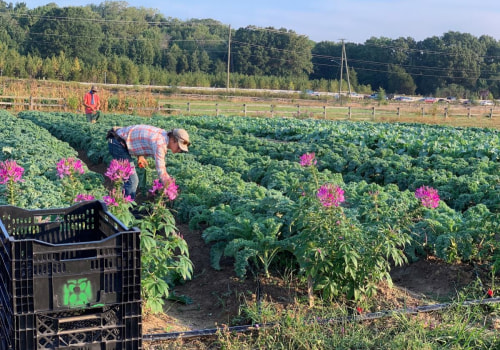 The Thriving Partnership between Farmers and Local Businesses in Fairfax County, Virginia