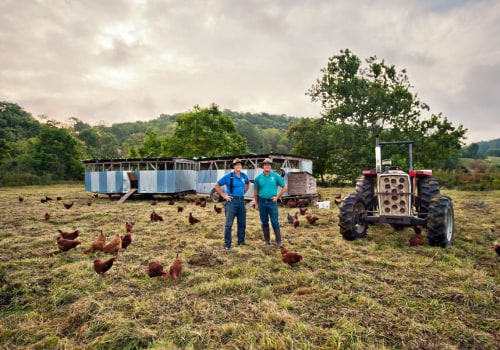The Enduring Legacy of Agriculture in Fairfax County, Virginia