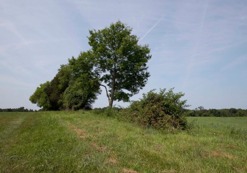 The Thriving Agriculture Industry in Fairfax County, Virginia